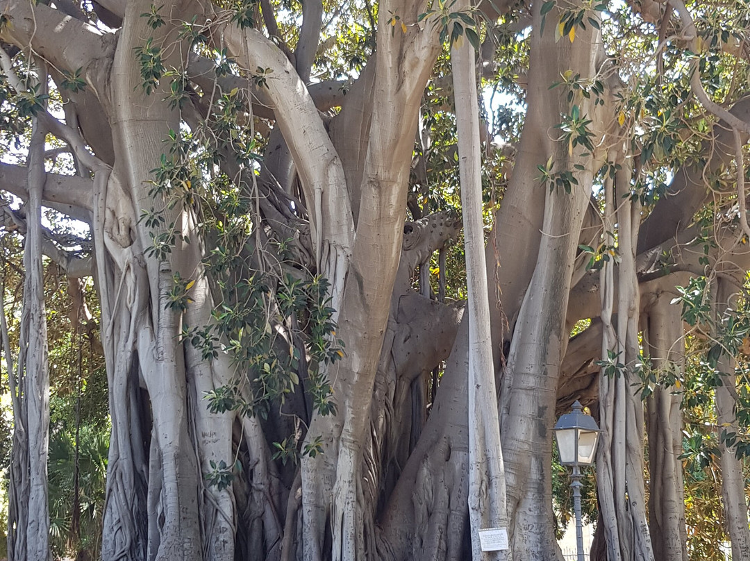 Giardino Garibaldi-巴勒莫必去景点