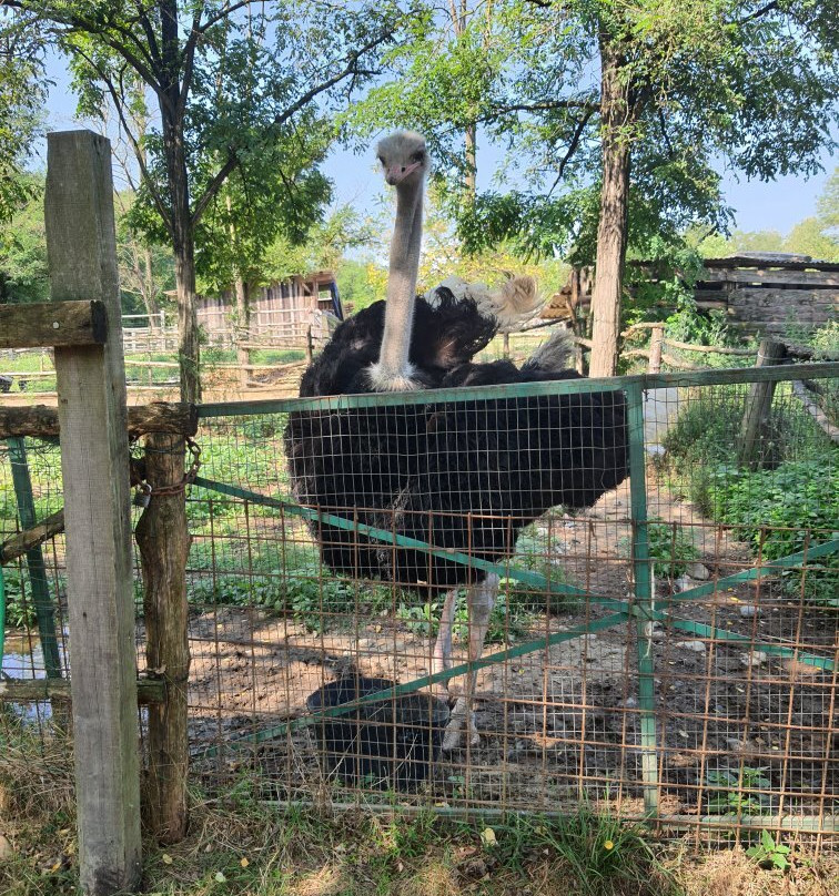 Agriturismo Campofelice主图