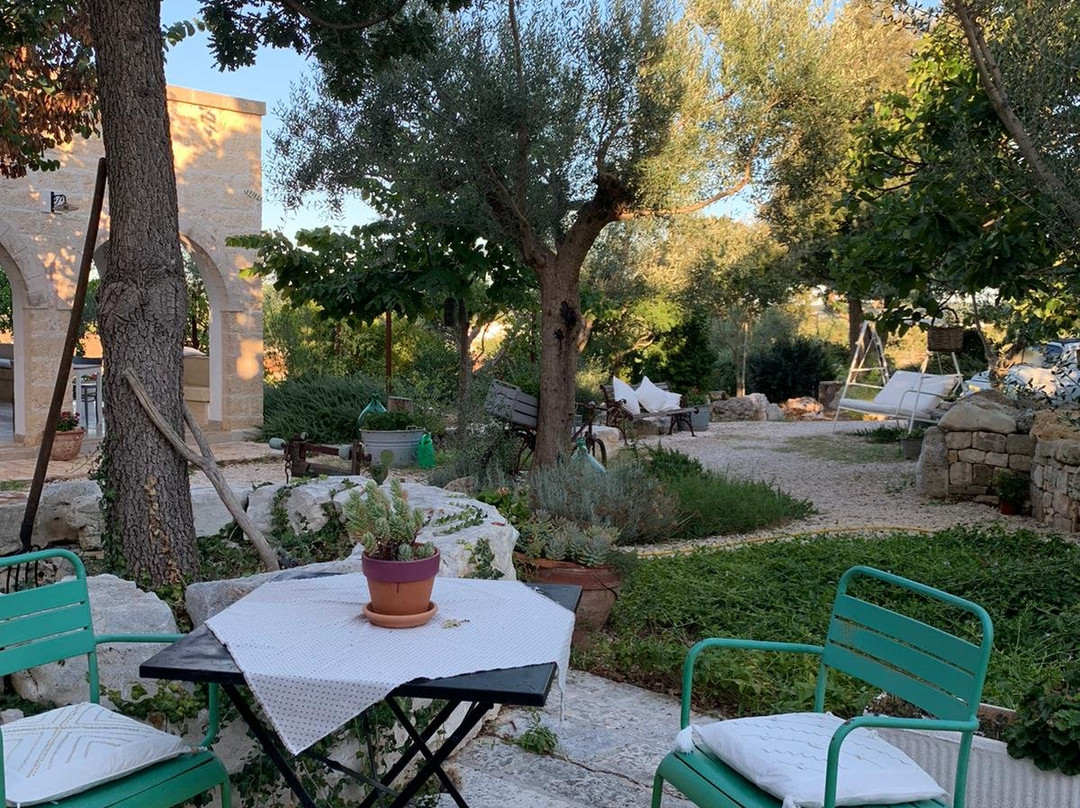 Trulli Gallo Rosso主图