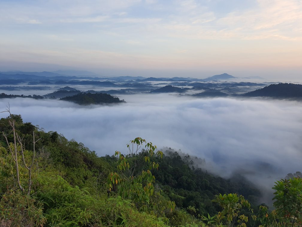 Bukit Panorama-Sungai Lembing必去景点