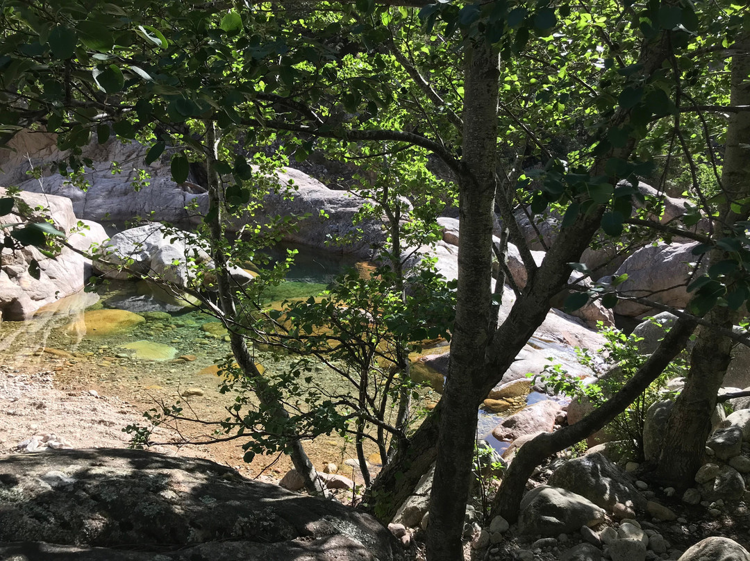 Bavella Canyon-维琪奥港必去景点