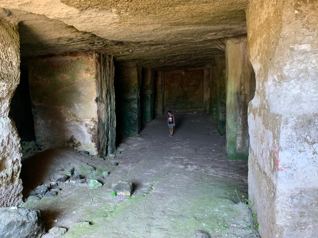 Museum of Ancient Eleutherna景点图片