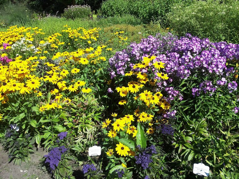 Botanisches Garten des Universitaets-里加必去景点