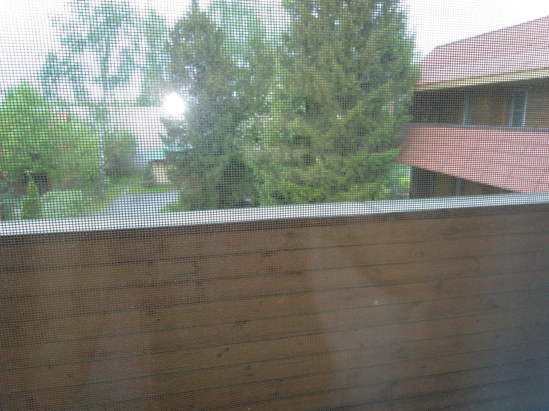 Medvezhi Ozera Park Hotel主图