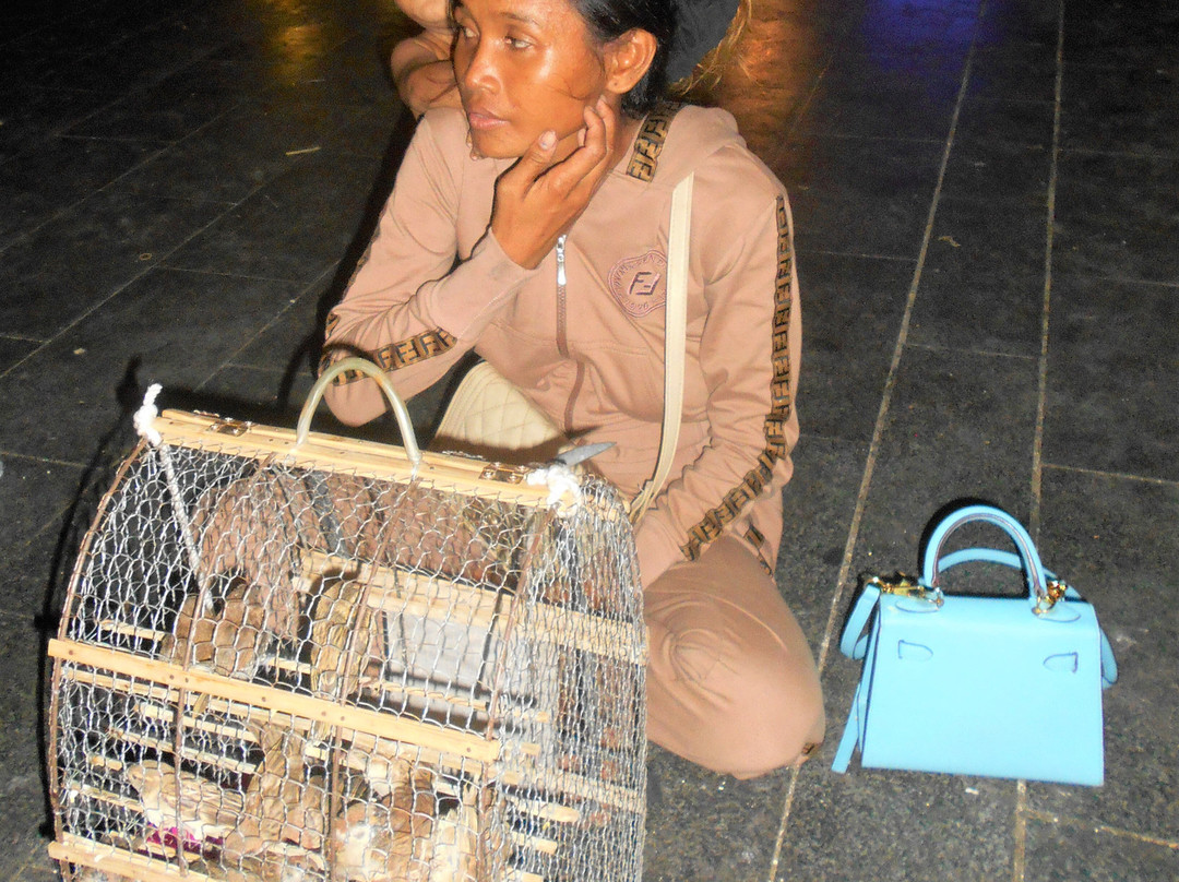 Preah Ang Dorngkeu Shrine-金边必去景点