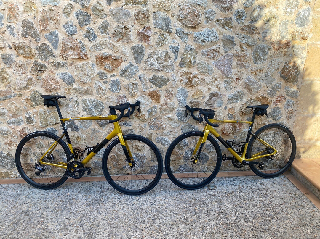 Mallorca Bike Hire景点图片