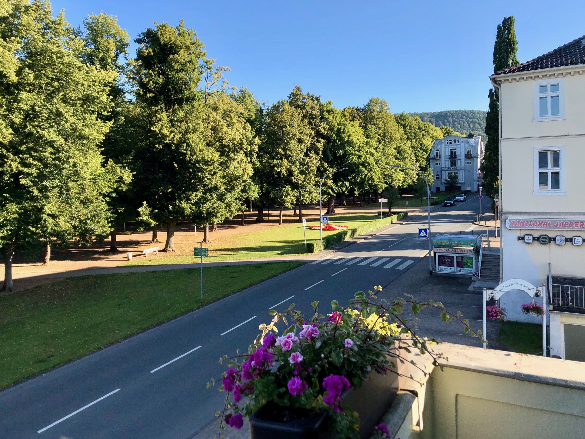 Alte Villa Schlossblick-酒店景观