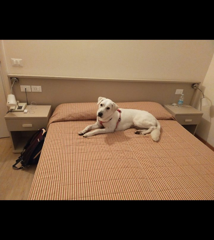 Hotel Sport主图