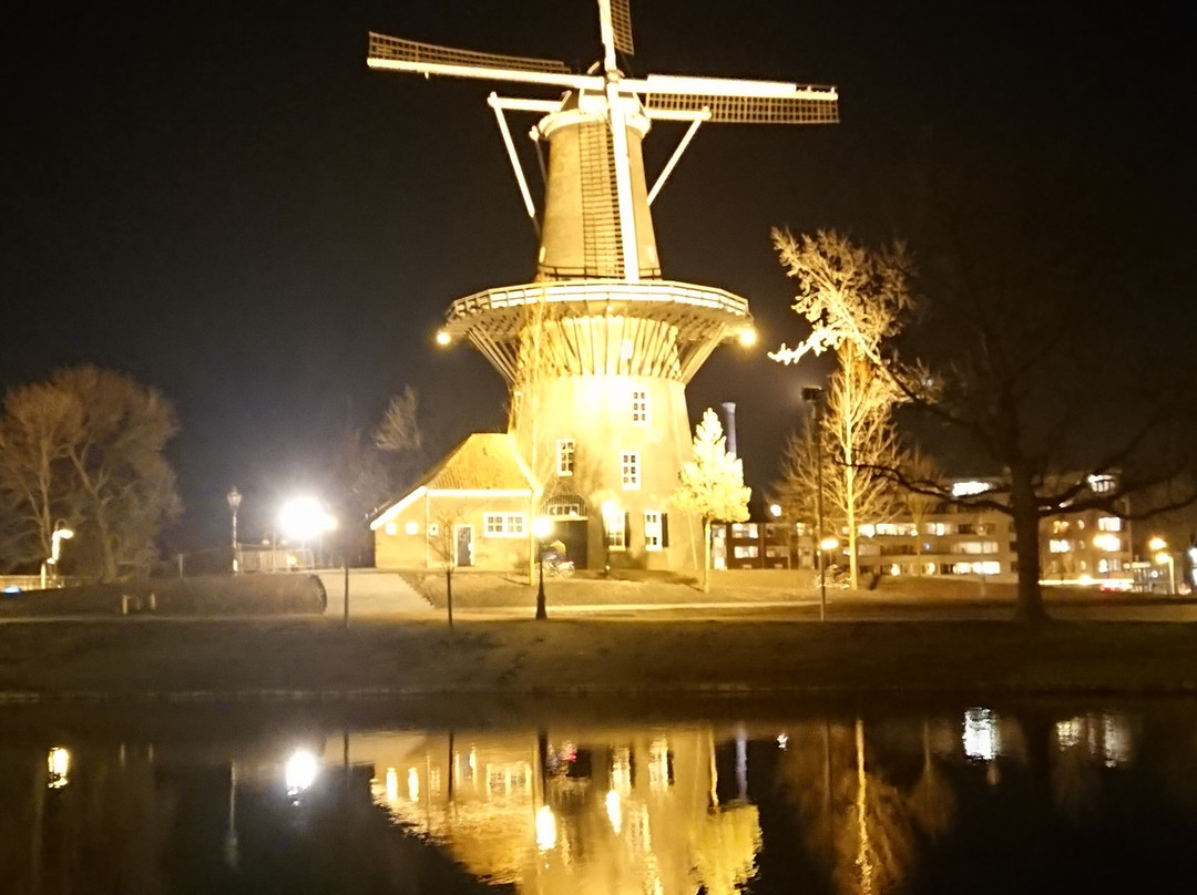 The Leiden Loop - City Walk景点图片