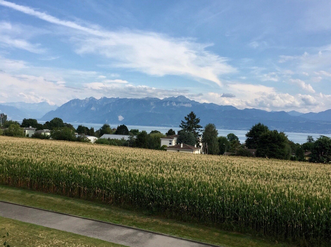 Starling Hotel Lausanne主图