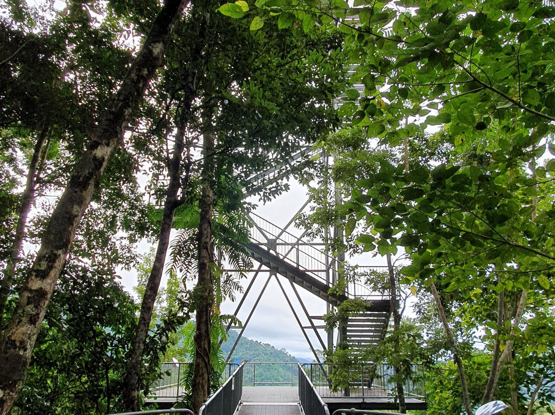 Mamu Tropical Skywalk景点图片