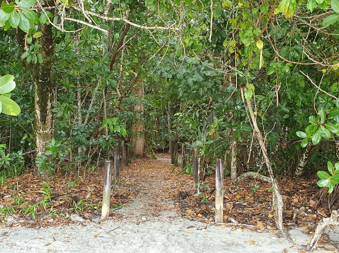 Thornton Beach-Thornton Beach必去景点
