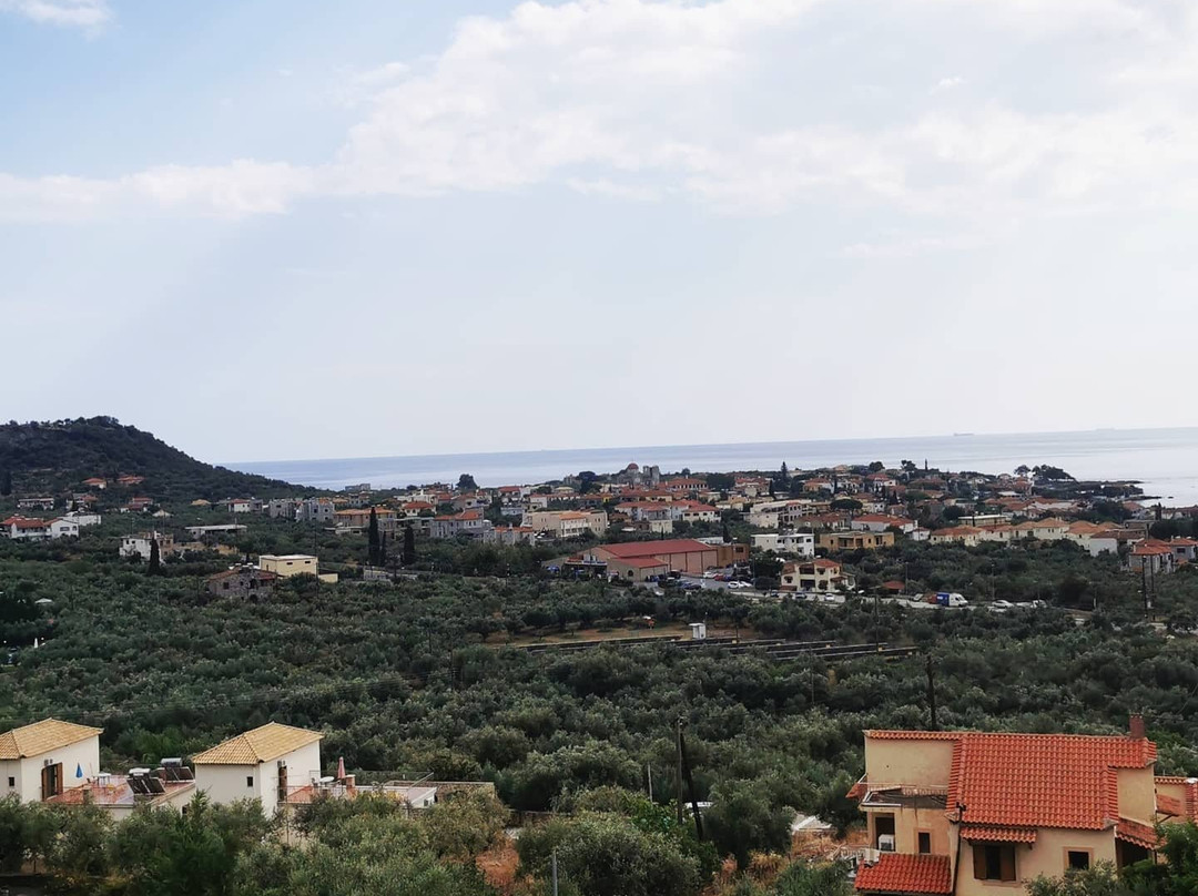 Imelda Apartments主图