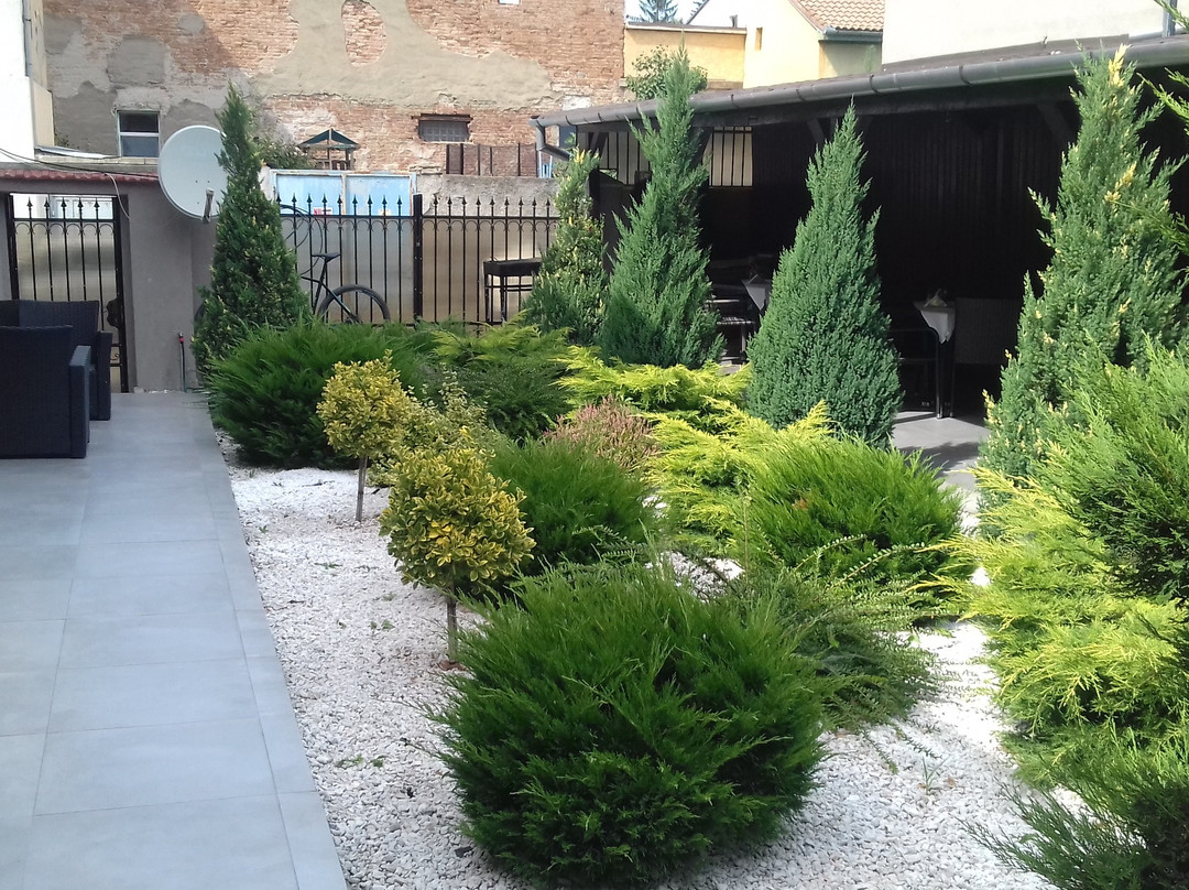 Carnival City Hotel Oradea主图