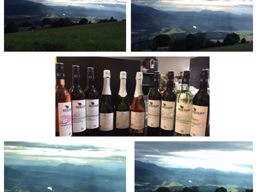 Weingut Masser-洛伊查赫必去景点