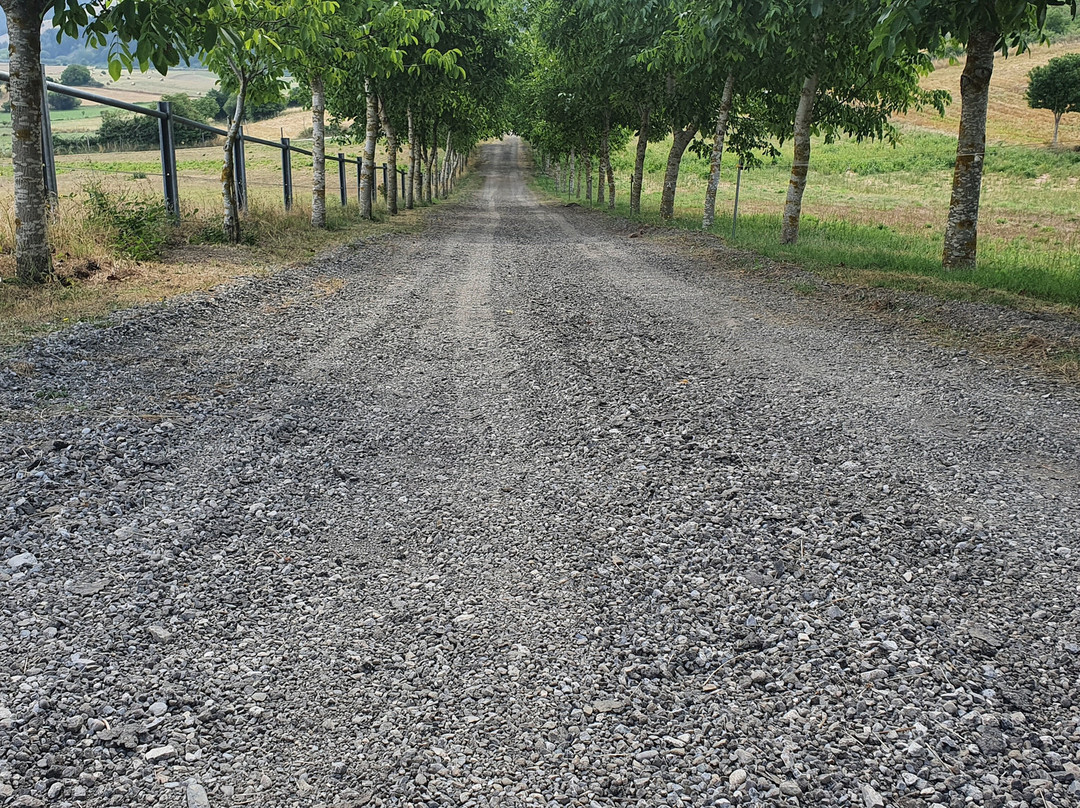 Green House B&B主图