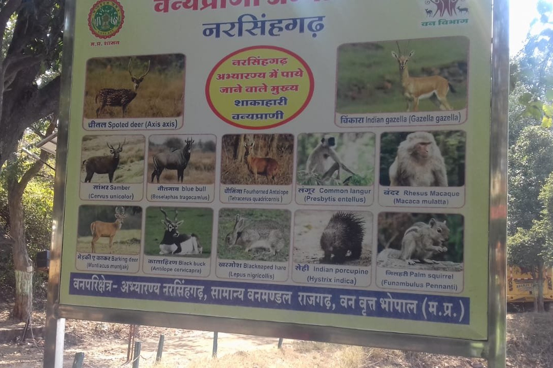 Narsinghgarh Wildlife Sanctuary景点图片