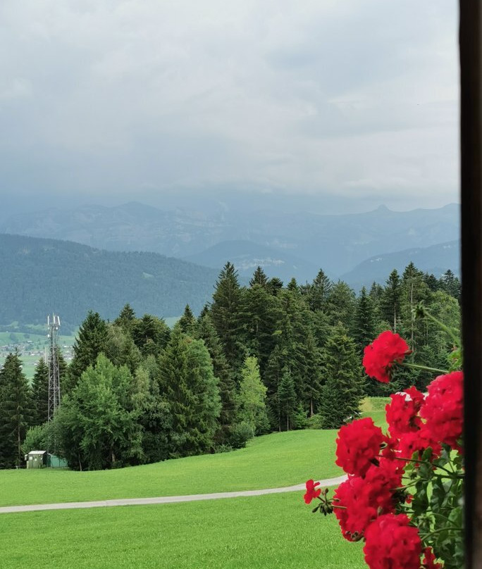 Gasthof Alpenrose主图