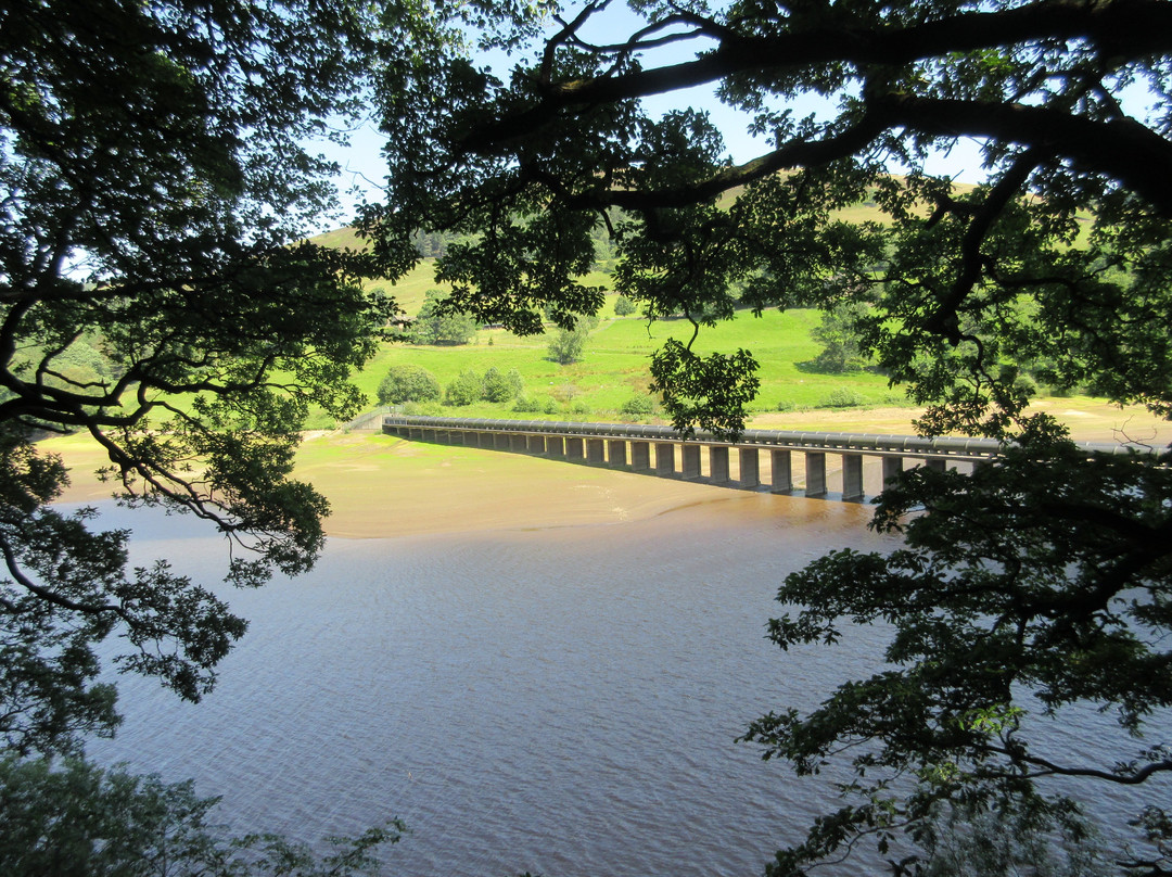 Derwent Visitor Centre景点图片