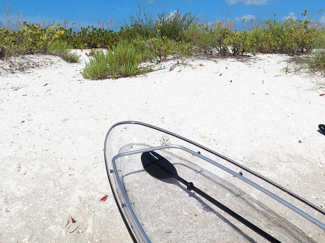 Get Up And Go Kayaking - Naples-博尼塔斯普林斯必去景点