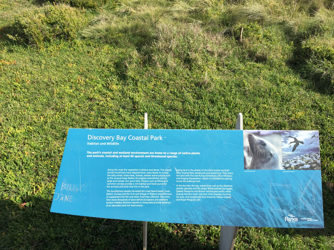 Discovery Bay Marine National Park-Cape Bridgewater必去景点