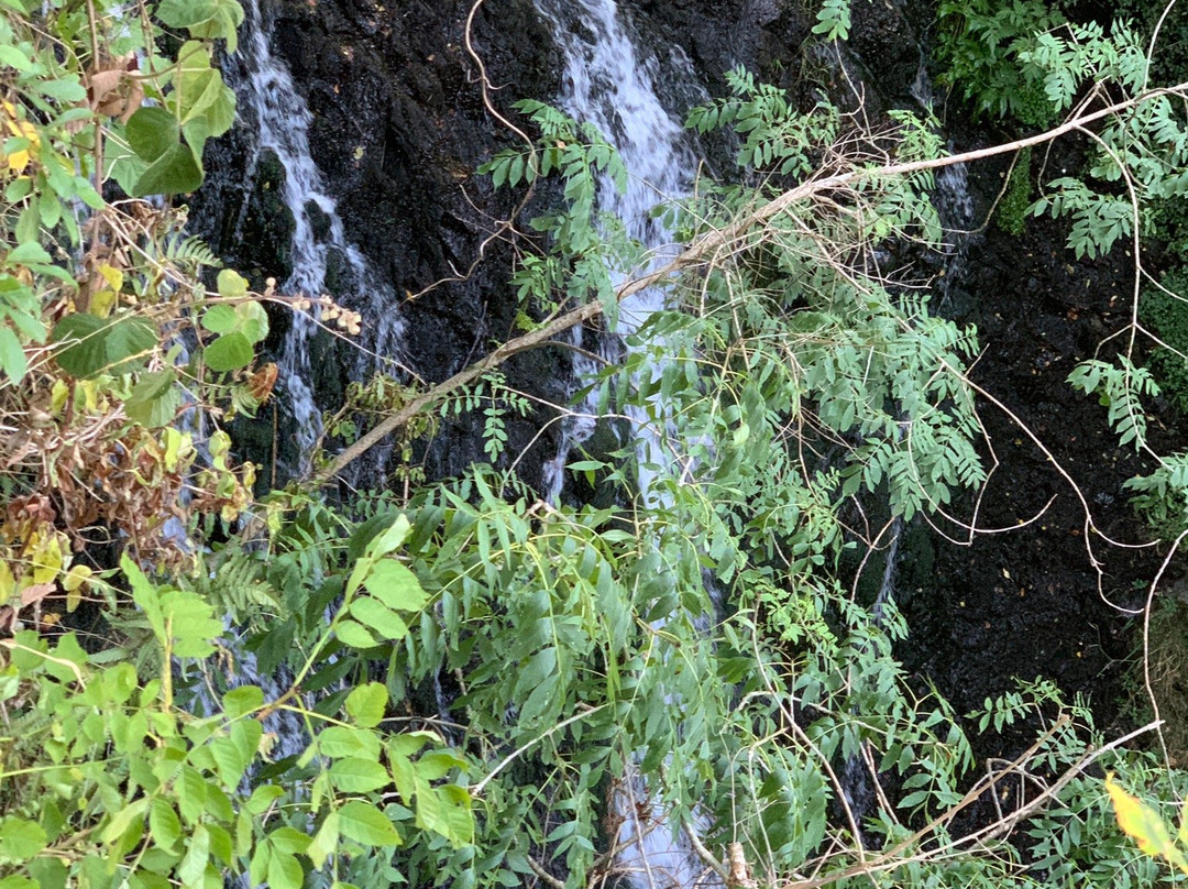 Cascade Des Saliens景点图片