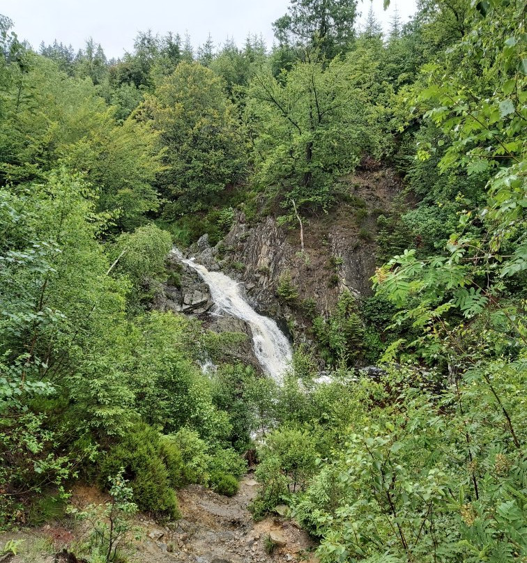 Parc Naturel des Hautes Fagnes景点图片
