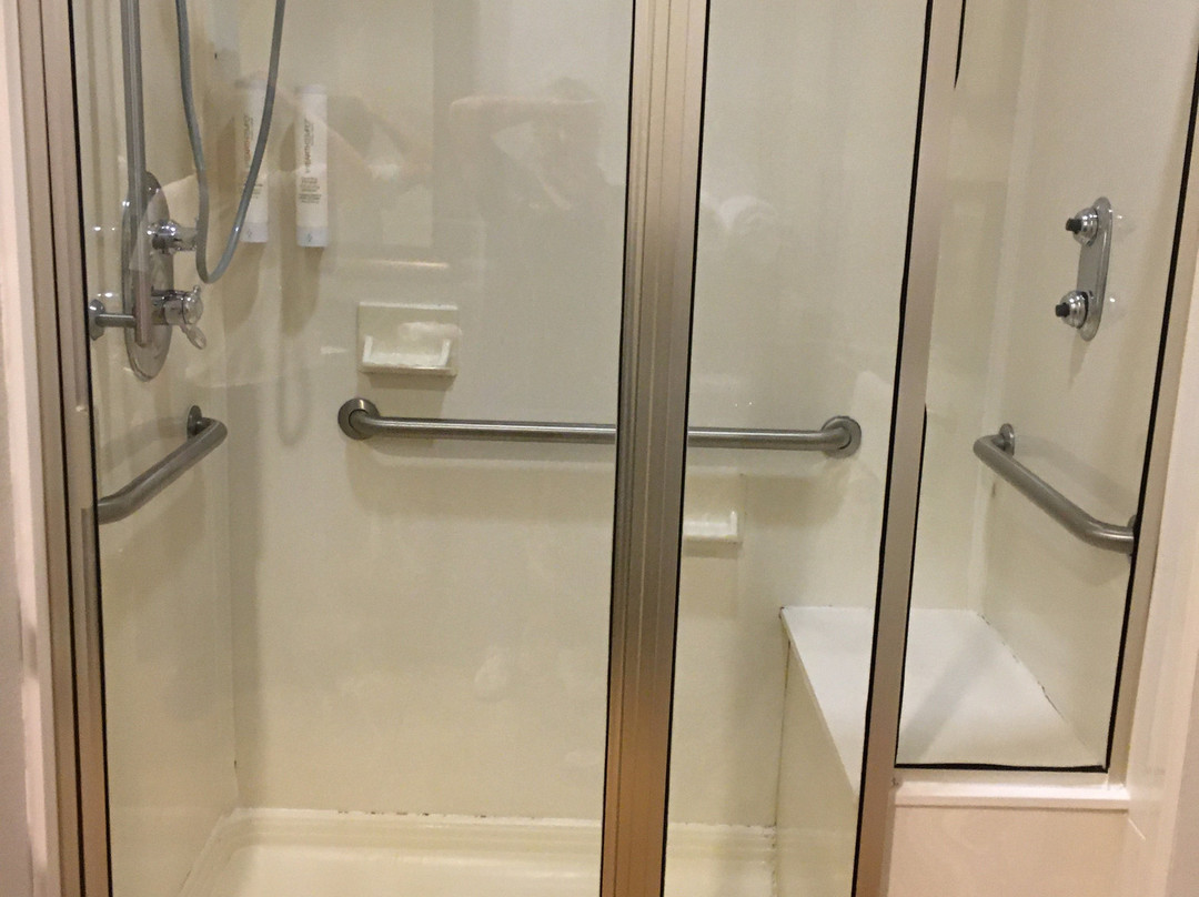 萨尔弗斯普林斯快捷假日套房酒店主图