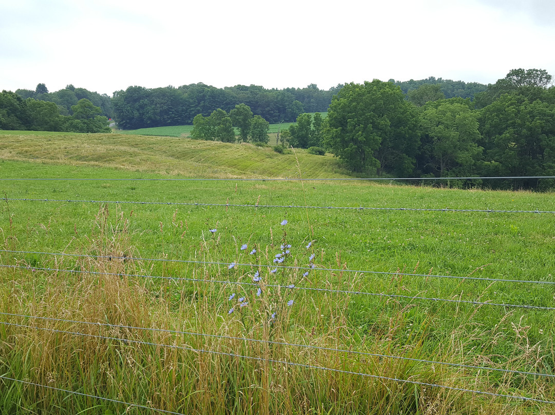洛克伍德庄园住宿加早餐酒店主图