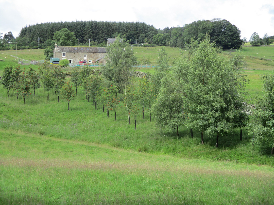 North Pennines National Landscape景点图片