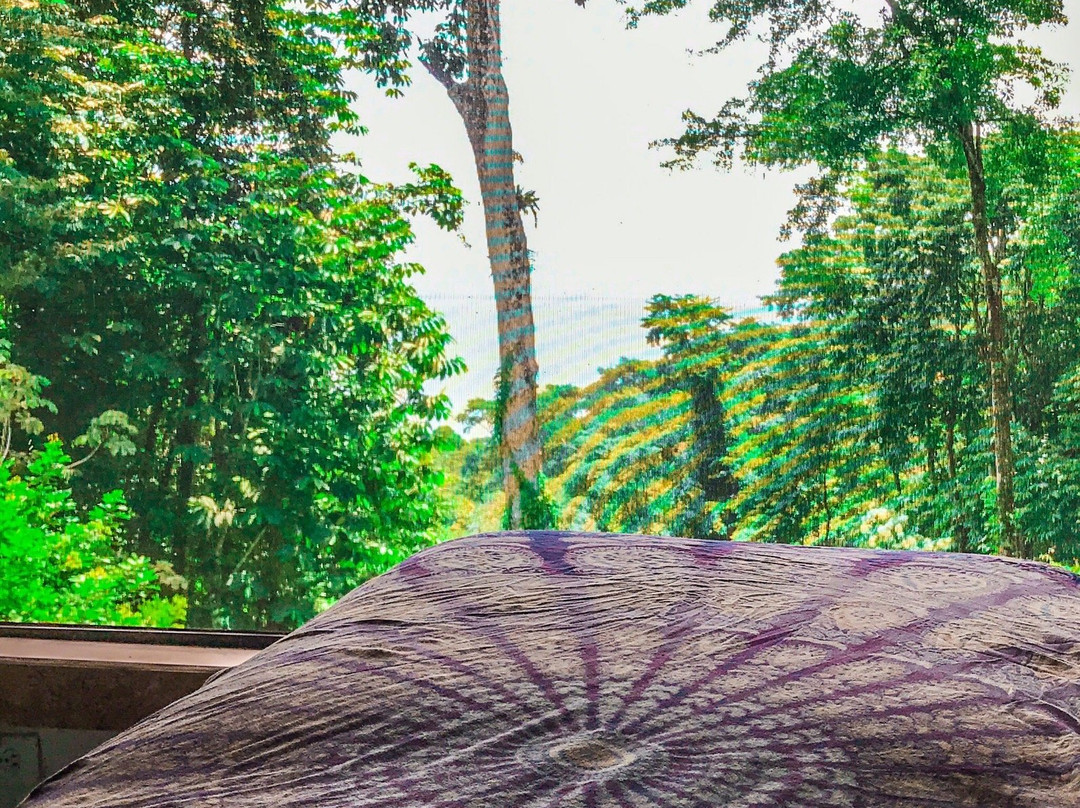 Grateful Surf Yoga And Ayurveda景点图片
