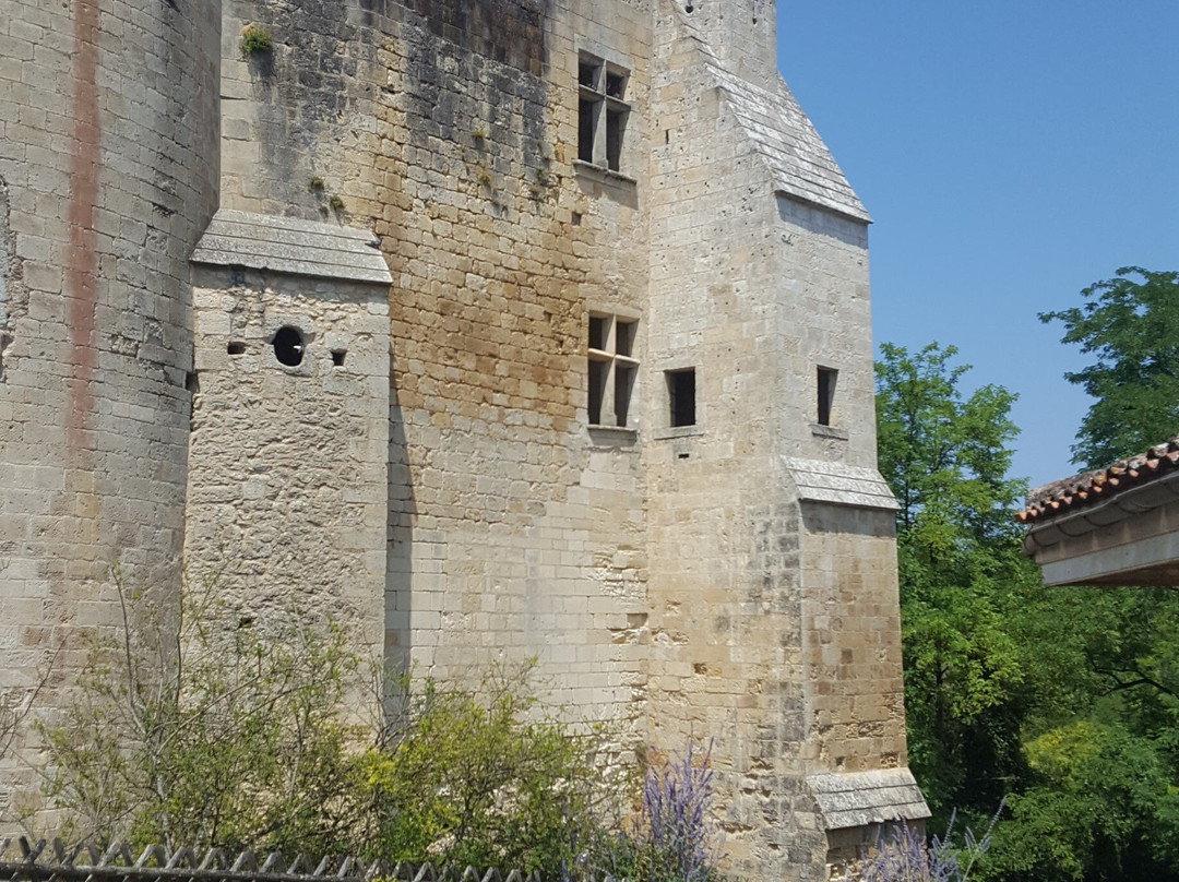 Chateau de Rauzan景点图片