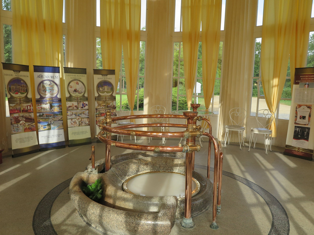 Pavilon Františkova pramene-弗提科维泉市必去景点