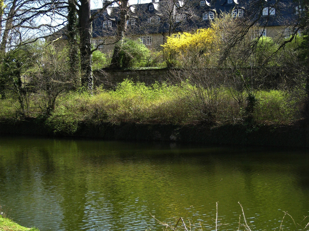 Schloss Detmold景点图片