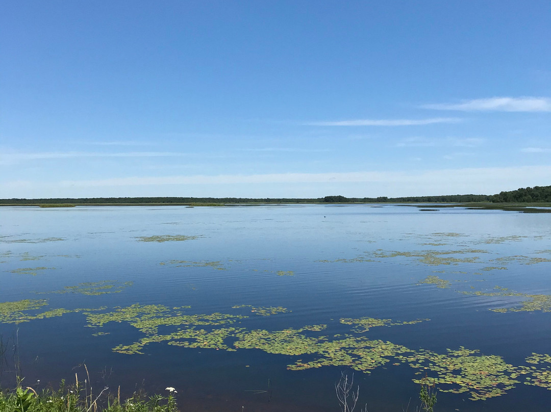 Crex Meadows Wildlife Area-Grantsburg必去景点
