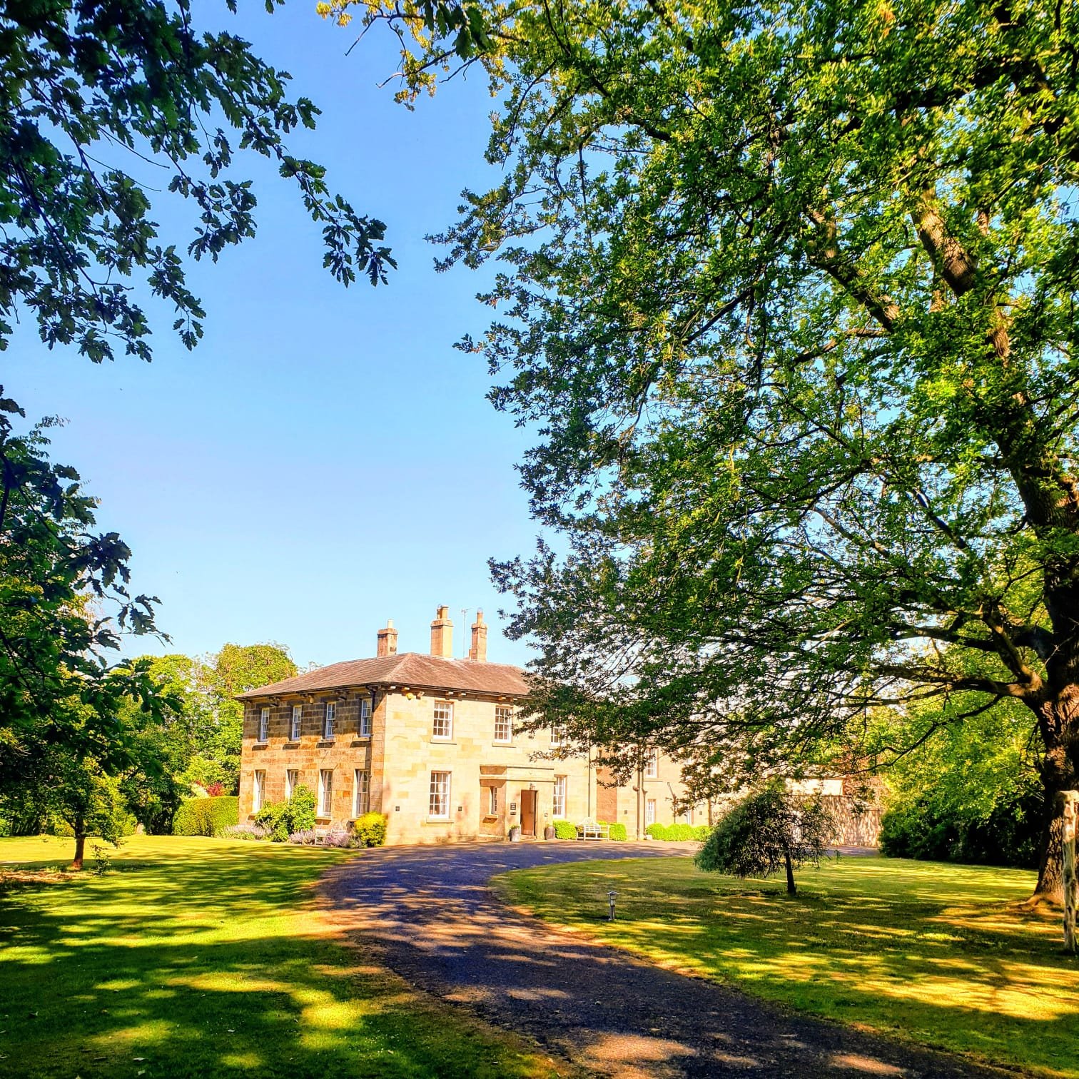 Chatton Park House-官方