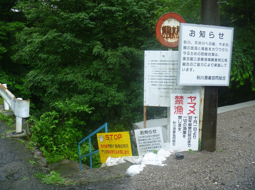 Kamihinata Bridge-桧原村必去景点