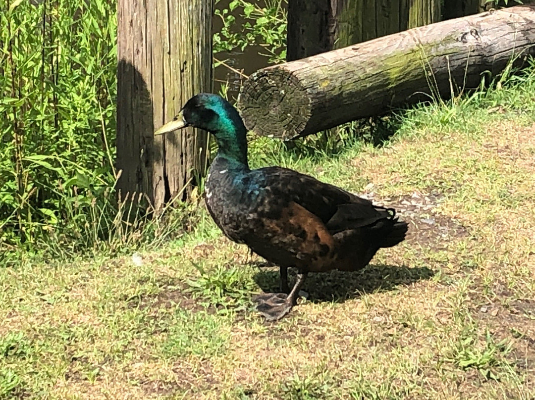 Port Providence Paddle-Phoenixville必去景点