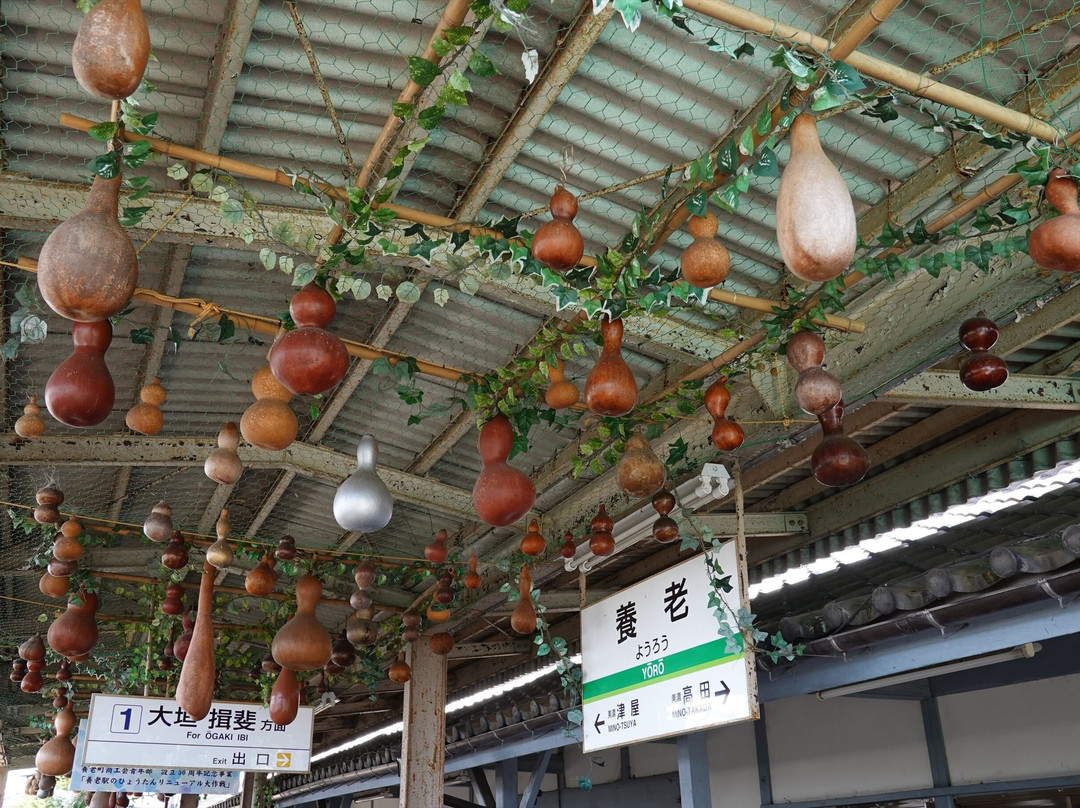 Yoro Railway-大垣市必去景点