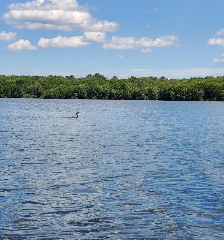 Lake Nockamixon State Park景点图片