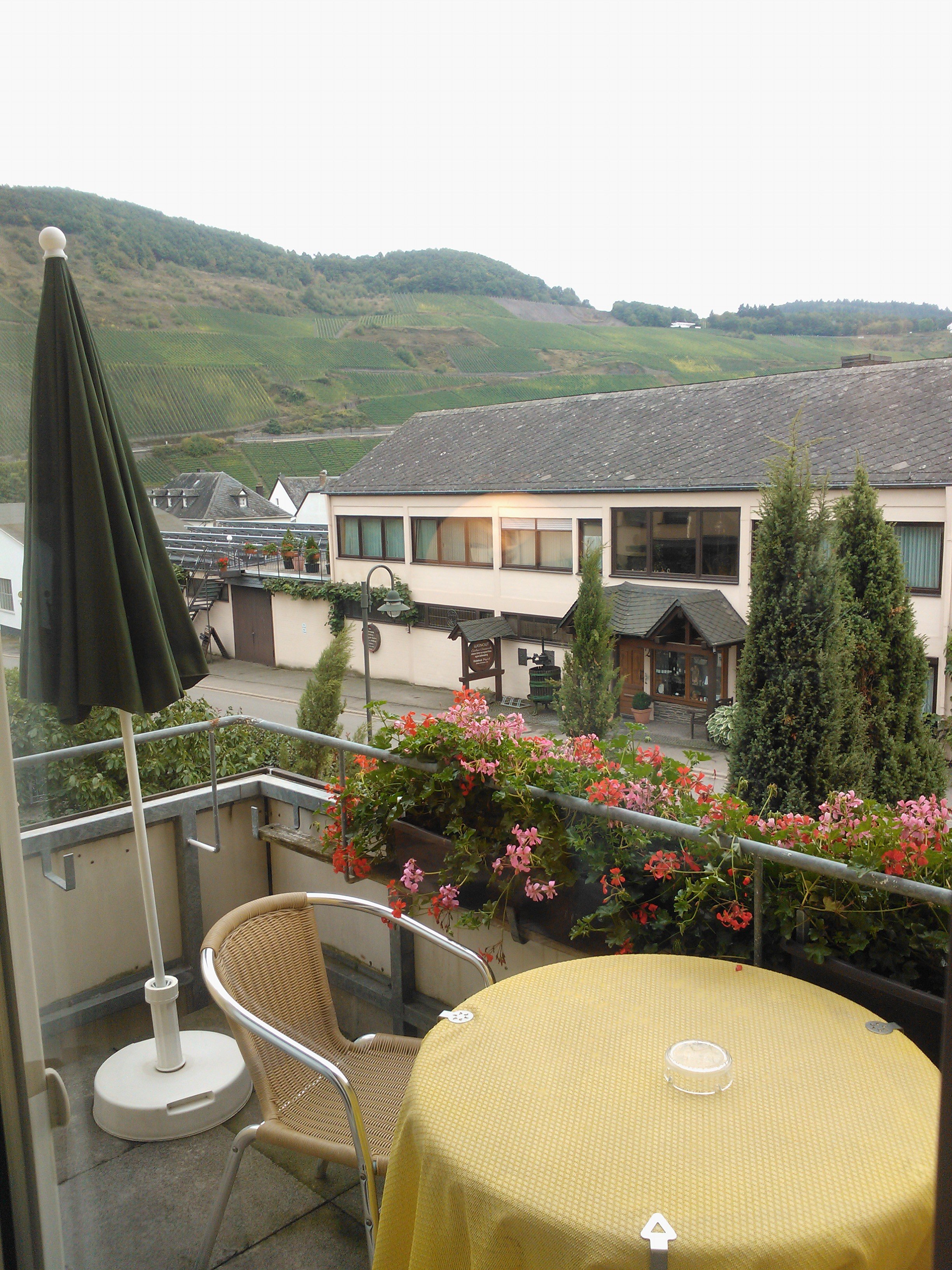 Wein- und Gaestehaus Edgar & Ingrid Hermes-酒店景观