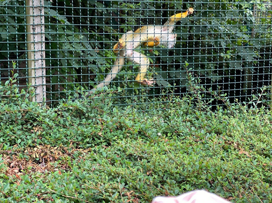 Tierpark Bad Liebenstein-Bad Liebenstein必去景点