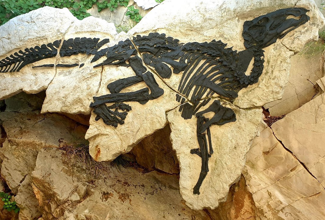 Sito Paleontologico Dinosauro Antonio景点图片
