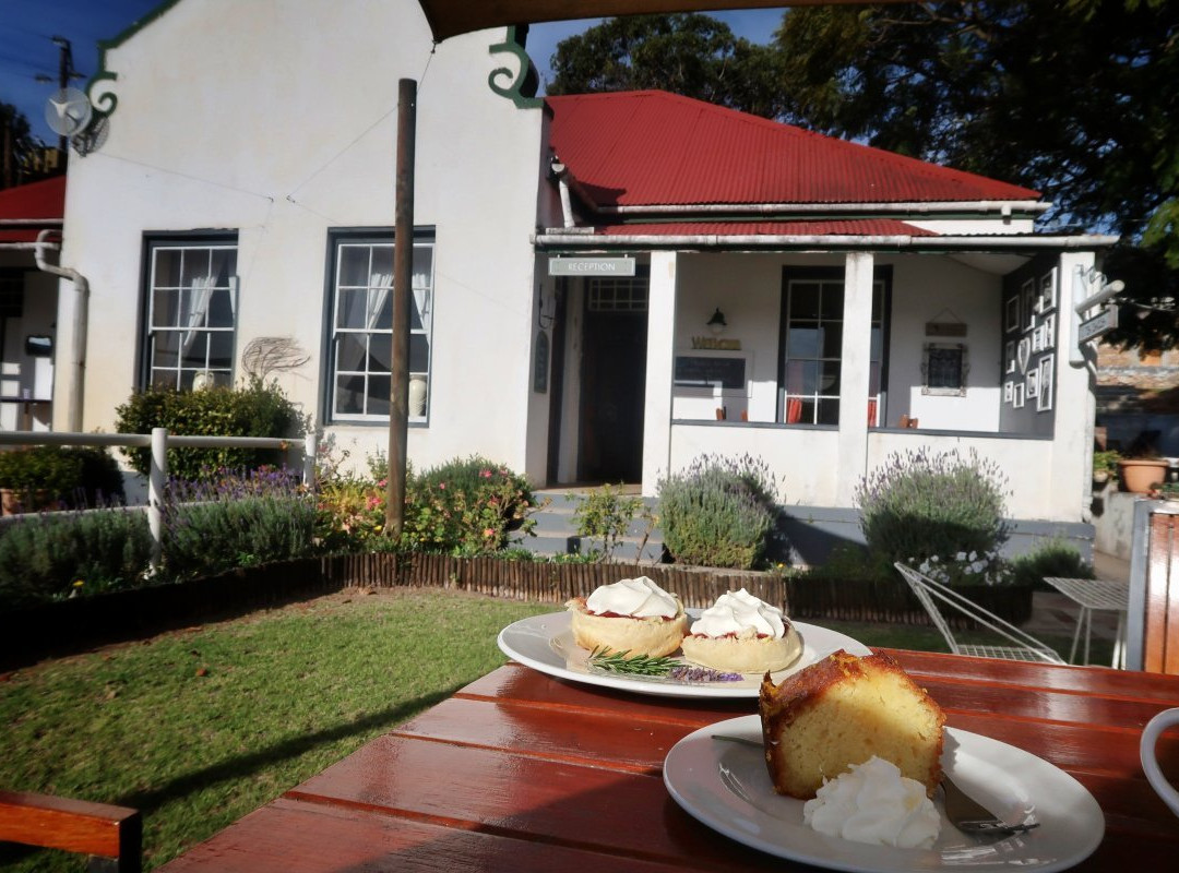 Over the Mountain Guest Farm主图