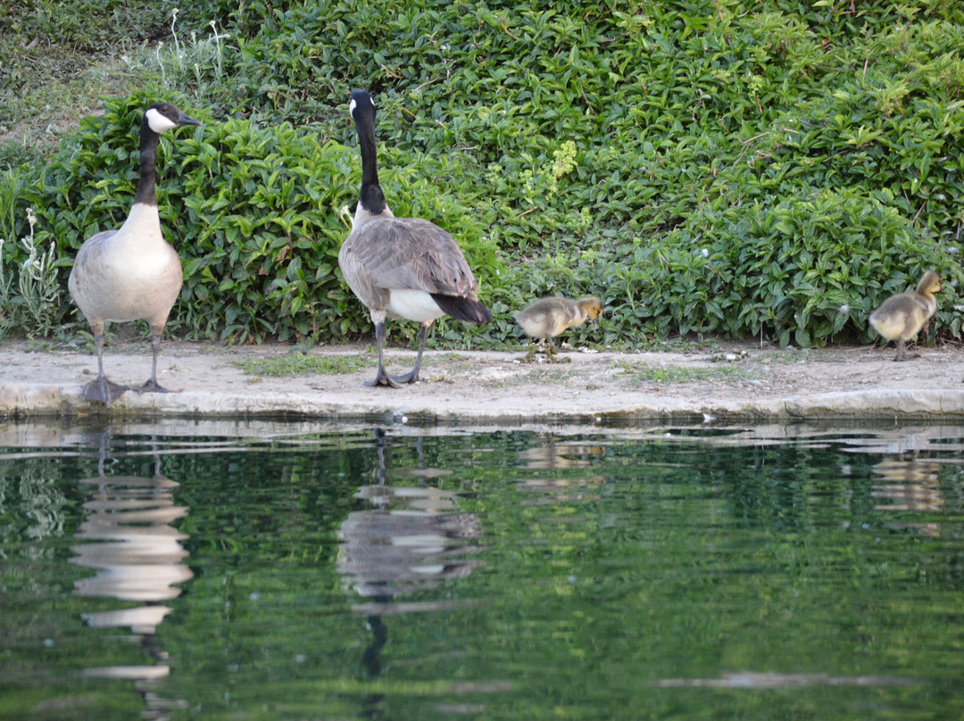 Heritage Park-喜瑞都必去景点