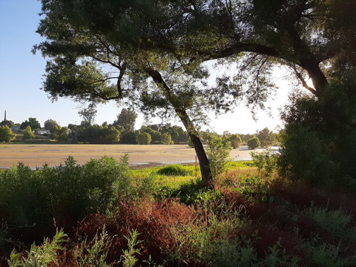 Lindo Lake County Park-Lakeside必去景点