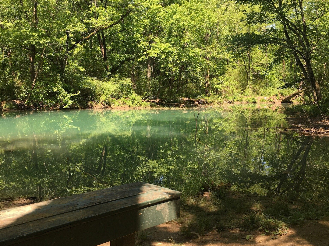 Buck Creek Trail景点图片