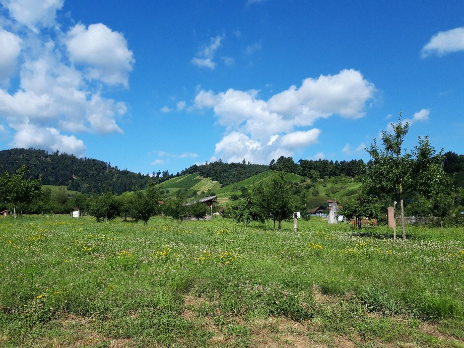 Brennerei & Weingut Wild景点图片
