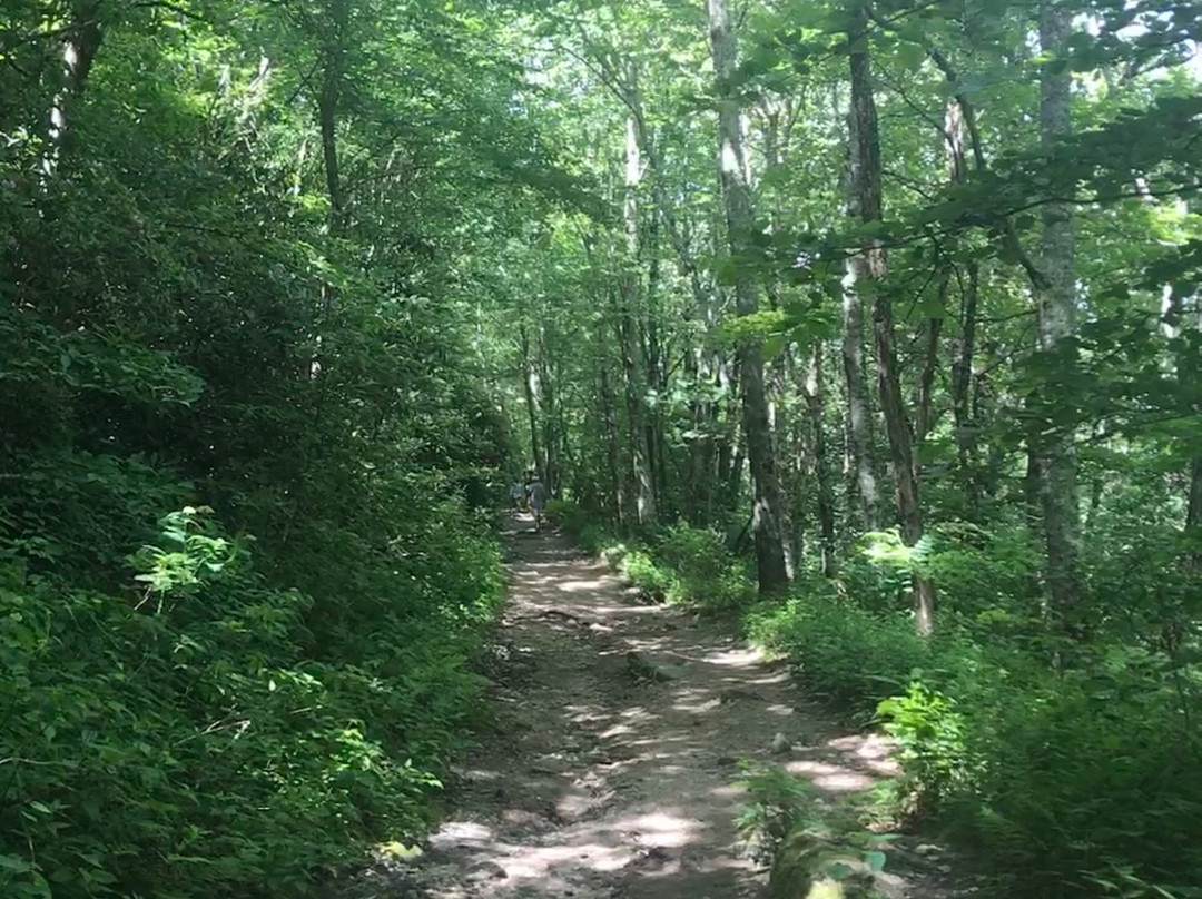 Whiteside Mountain Trail-海兰兹必去景点