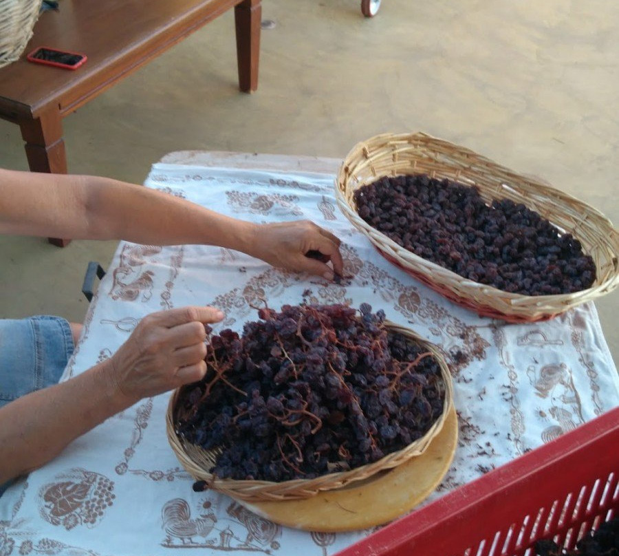 Azienda Vinicola Gabriele景点图片